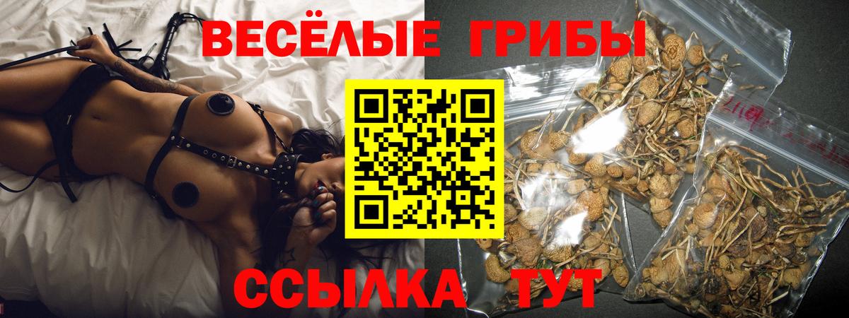Галлюциногенные грибы Psilocybe  Вход с VPN  Феодосия  Галлюциногенные грибы мицелий 